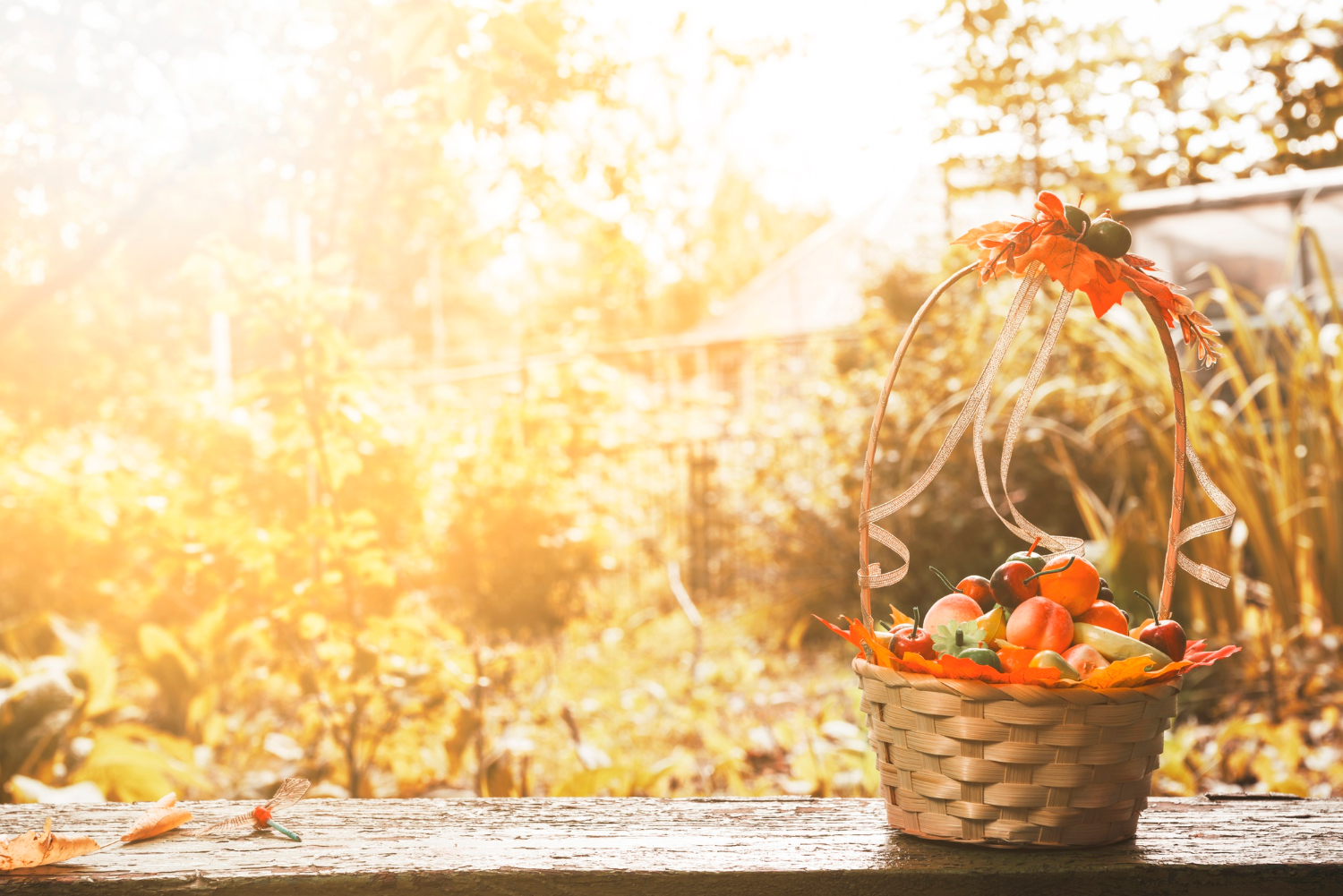 Îngrijirea Grădinii  Toamna: Sfaturi Pentru a Pregăti Grădina Pentru Sezonul Rece